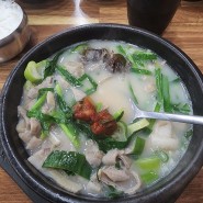 대전 둔산동 순대 국밥, 봉명순대! 진하고 담백한 맛이 일품 (feat. 다대기도 끝장남)