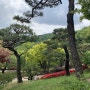 화담숲 - 봄 나들이, 서울근교 가볼만한곳