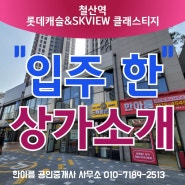 [철산역 롯데캐슬 & SKVIEW 클래스티지] 입주 한 상가소개