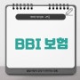 BBI 보험 , BBI (Behavior Based Insurance)