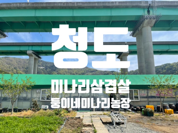 [맛집] 청도 여행 왔으면 미나리삼겹살은 꼭 먹어봐야지! ‘둥이네 미나리농장’