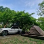 대구근교 팔공산 파계오토캠핑장 찐그린 단풍나무아래 캠핑