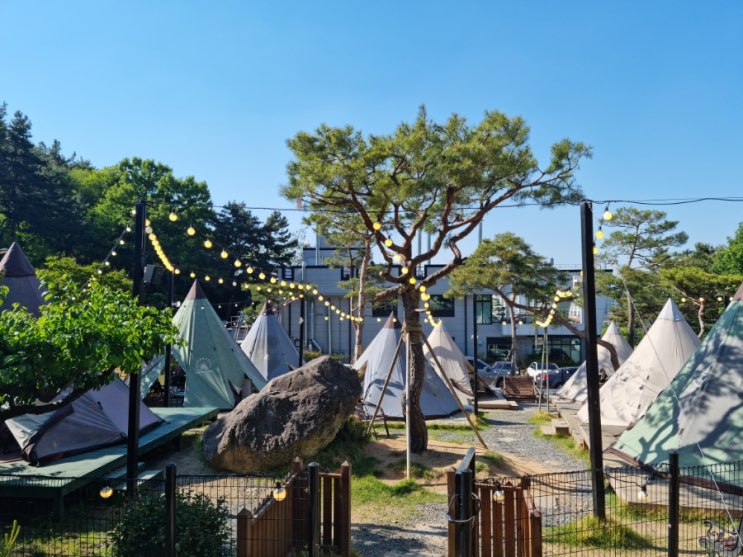 캠핑감성 경산맛집 [산으로간캠프]