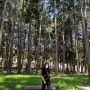 양산 법기수원지 초록초록 자연과 함께 힐링 할수 있는 공간