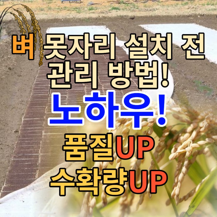 [모두싹] 벼 못자리 관리 방법! 못자리 설치 전 과정에 대한 볍씨 종자소독 등 건강한 수확을 위한 첫걸음! : 네이버 블로그