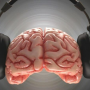 듣는(Hearing) 듣는(Listening) 전환 시 뇌 변화