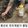 몽산포해수욕장에서 갯벌체험 맛조개잡기 꿀팁 알고 가세요