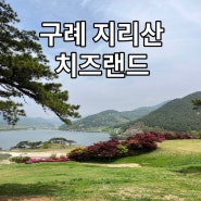 구례 지리산치즈랜드 양 먹이주기체험 아이와가볼만한곳 피크닉