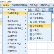 spss로 카이제곱 검정하기, 교차분석