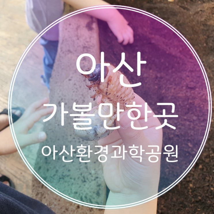 충남 아산 가볼만한 곳, 아산환경과학공원 장영실과학관...