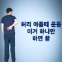 허리 아플때 운동 딱 한가지면 됩니다! (ft.허리에 좋은 강화운동)