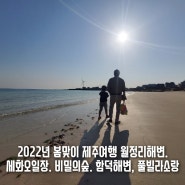 [제주여행] 2022년 봄맞이 제주여행 1일차. 월정리바다, 세화민속오일장, 비밀의 숲, 함덕해수욕장, 풀빌라소랑 (내돈내산)