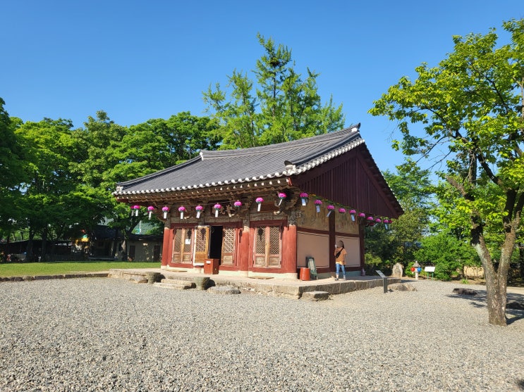 경주 분황사 황룡사지 청보리밭 힐링 여행코스 가볼만한곳