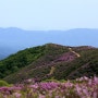 어버이날 황매산에서는...(오로라를 닮은 무지개가 떴어요)/ 어머니와 함께/ 합천 황매산 철쭉