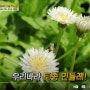 [성공의정석,꾼] 양구토종민들레영농조합 방송영상