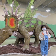 파주 헤이리마을, 공룡박물관
