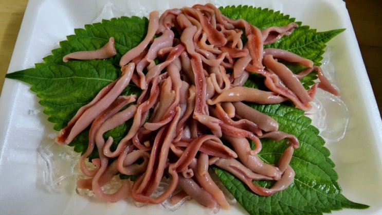 개불 제철 따로없다 가격 비싸지만 : 네이버 블로그