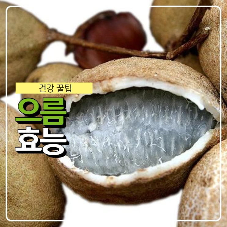 으름 효능과 맛 먹는법 (열매,나무,꽃) : 네이버 블로그