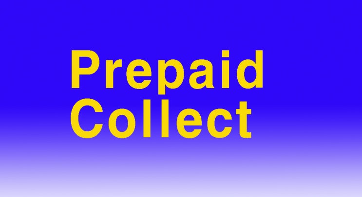 무역서류 무역실무 Prepaid와 Collect 무게 무역용어 Gross Weight와 Net Weight : 네이버 블로그
