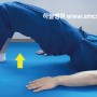 엉덩이 기억상실증 및 엉덩이 근육 운동(힙 익스텐선, 클램쉘, 중둔근, 골반전반경사)