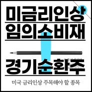 미국 금리인상 주목 종목 (ft.기술주, 성장주, 경기순환주, 경기민감주, 임의소비재)