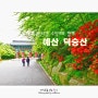 <BAC 명산100+> 예산 덕숭산(수덕산), 수덕사 등산코스