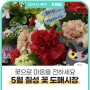 5월에는 칠성 꽃 도매시장에서 싱그러운 꽃으로 마음을 전하세요!