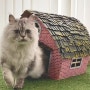 고양이가 사는 빨간 벽돌집 만들기