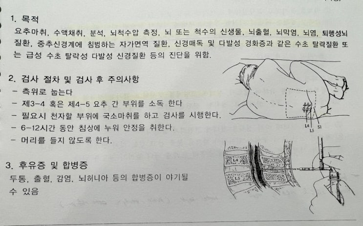 요추천자 검사방법 및 주의사항 : 네이버 블로그