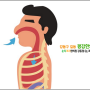 비염이야기 - 폐는 기를 주관 한다. 폐주기(肺主氣)