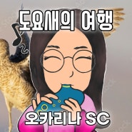 도요새의 여행 오카리나 연주/이병구/SC