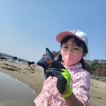 태안 삼봉해수욕장 조개캐기 원문 사진 3