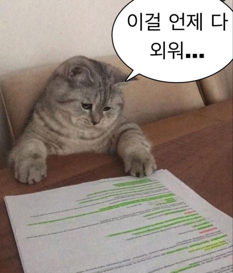 귀여운 사진 모음집~ : 네이버 블로그