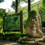 대전 장태산 자연휴양림 환상적인 메타세콰이어 숲의 장관