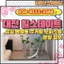 대전 힐스테이트 유성 둔산 봉명동 오피스텔 주거용 전세대 84타입 분양예정 정보