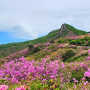 천상의 화원 황매산 철쭉 일출 산행