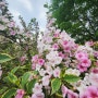 나주 산림자원연구소 늦봄 초여름의 싱그러움과 꽃들이 만발했다