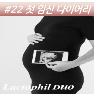 #22 (임신29주,임신30주,변비,치질,백일해) 첫 임신 다이어리 ☀ 평안이의 성장기