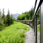 알래스카 여행 화이트패스 열차 타고 캐나다 유콘 에서 스캐그웨이까지의 절경 감상하기