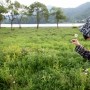 하얀 이팝꽃 피는 남한강 산책길