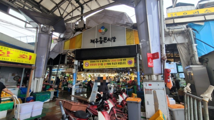 제주도 동문수산시장 - 바로 떠주는 가성비 찐 회맛집 남해수산🐟 : 네이버 블로그