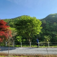 22.05.13~15 / 영월 무릉도원 새막골캠핑장