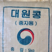 대원콩씨앗 5kg
