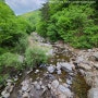 [강원] 홍천 야시대리 오지 계곡 피크닉 (가리산)