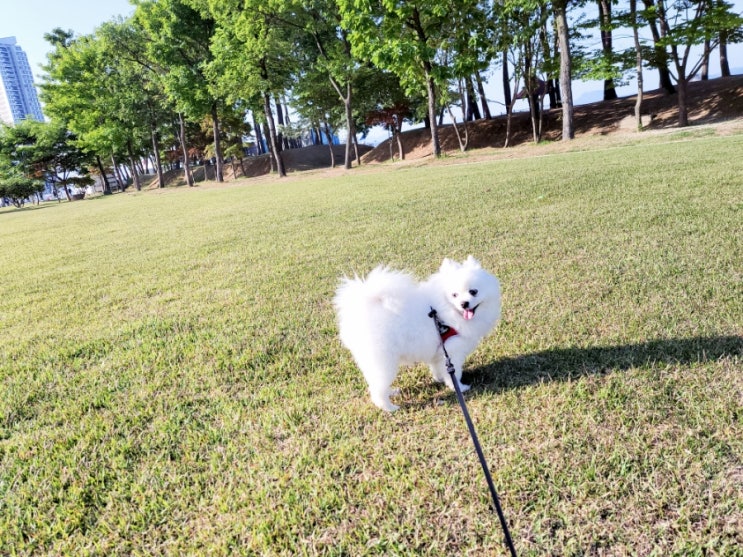 22/5/14일 또순이 : 네이버 블로그