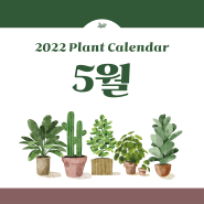2022년 5월 식물 달력 무료 나눔합니다🌿