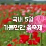 국내 5월 가볼만한 장미 수국 양귀비 꽃축제 정보