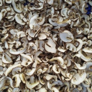 햇빈건조 원목 표고버섯