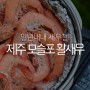 새우철 따로 없는 제주도 모슬포 활새우로 대하구이와 생새우회 냠냠 feat. 택배 외 포장도 가능