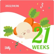 임신일기 - 임신 중기(21주~24주)